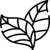 leafy-greens-icon-1